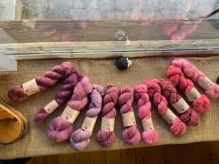 In der Auslage von Renate’s Wolldorado in Spiez (3700, Kanton Bern) sind rosafarbene und violette Wollstränge sorgfältig nebeneinander gelegt.