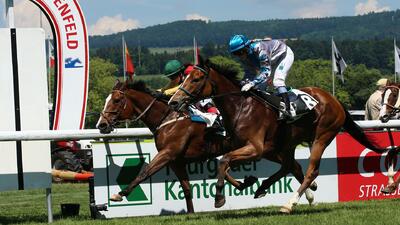 Rennpferde mit Jockeys im Zielsprint auf der Galopprennbahn Frauenfeld vor Zuschauerbereich und Werbebanden im Kanton Thurgau.
