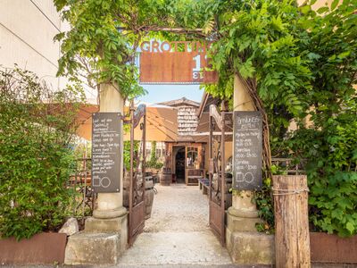 Der Eingang zum Restaurant grottino1313 in Luzern (6005, Kanton Luzern) ist von dichtem Grün umrahmt und führt durch ein Tor mit Schildern zu einem gemütlichen Aussenbereich.