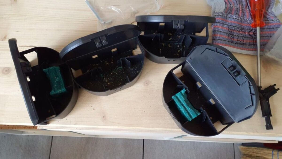 Auf einer Werkbank in Rheinau (8462, Kanton Zürich) liegen mehrere geöffnete schwarze Köderstationen mit grünem Giftblock, daneben ein Schraubenzieher und ein Paar Arbeitshandschuhe.