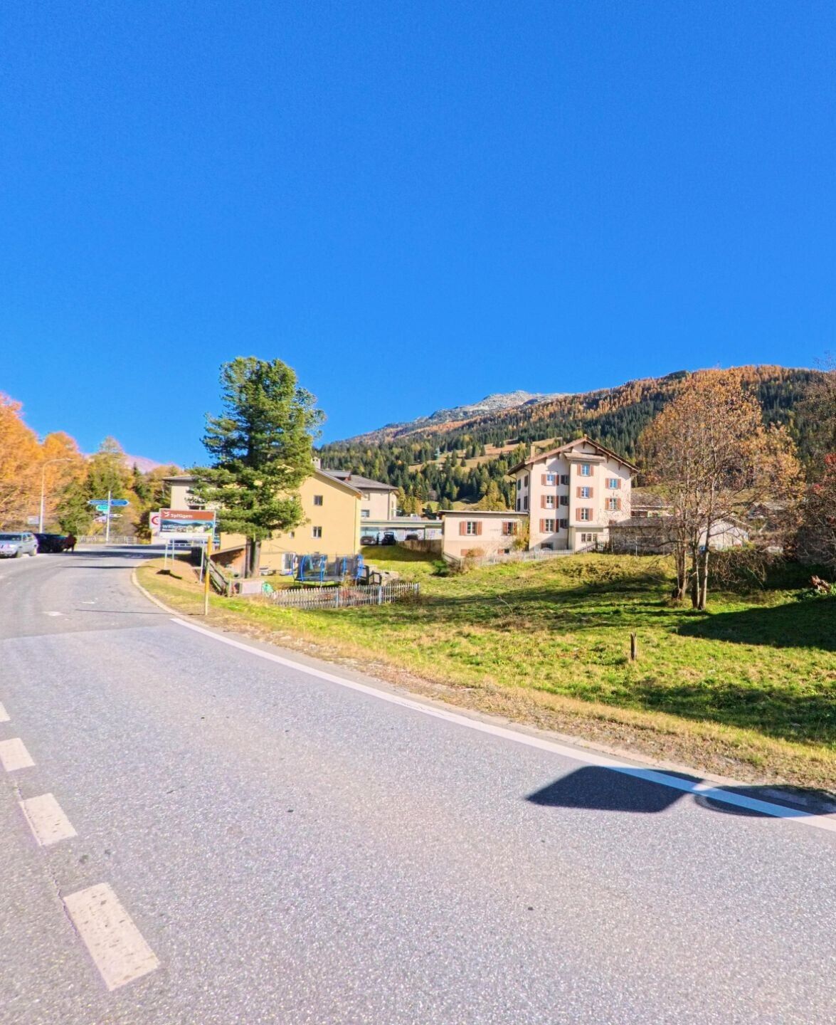 Am Rand einer sanft geschwungenen Strasse liegen in Rheinwald (7435, Kanton Graubünden) einzelne Wohnhäuser vor einer offenen Wiese und bewaldeten Berghängen.