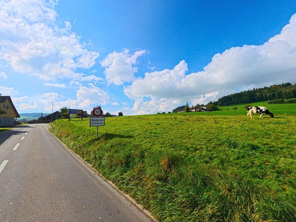Am Ortsrand von Rickenbach (6221, Kanton Luzern) verläuft eine schmale Strasse entlang offener Wiesen.