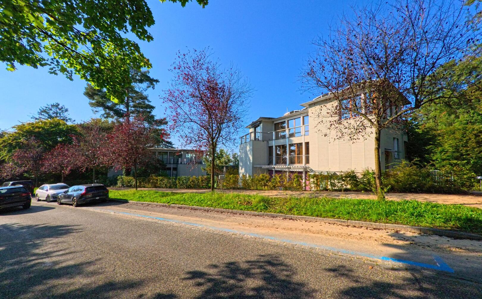 Vor modernen Wohnhaeusern in Riehen (4125, Kanton Basel-Stadt) stehen einzelne Baeme entlang einer ruhigen Strasse mit parkenden Autos.