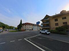 Roche