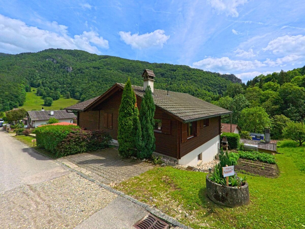 Am Rand eines Wohnquartiers in Roches (2762, Kanton Bern) steht ein gepflegtes Einfamilienhaus mit Garten vor bewaldeten Hügeln und einem offenen Himmel.