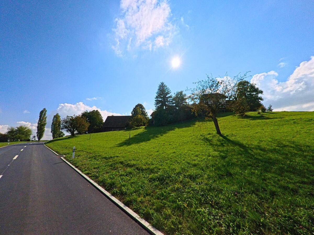Eine schmale Strasse führt an einer Wiese vorbei durch das Hügelland von Römerswil (6227, Kanton Luzern).