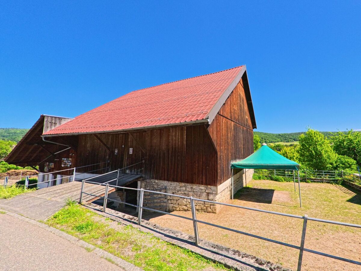 In Roggenburg (2814, Kanton Baselland) zeigt sich ein rustikales Holzhaus mit einem grünen Zelt davor, umgeben von Wiesen und Bäumen, bei strahlendem Sonnenschein.