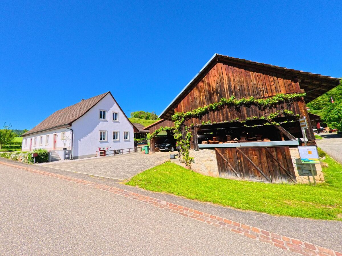 In Roggenburg (2814, Kanton Baselland) führt eine Strasse an einem weissen Gebäude und einem rustikalen Holzhaus vorbei, bei strahlendem Sonnenschein.