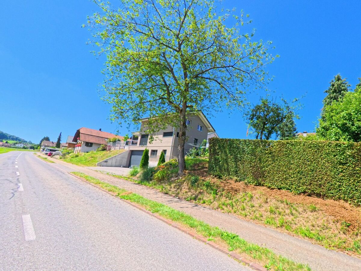 Am Ortsrand von Roggliswil (PLZ 6265, Kanton Luzern) stehen entlang einer ruhigen Strasse Einfamilienhaeuser, umgeben von Baeumen, Hecken und Feldern.