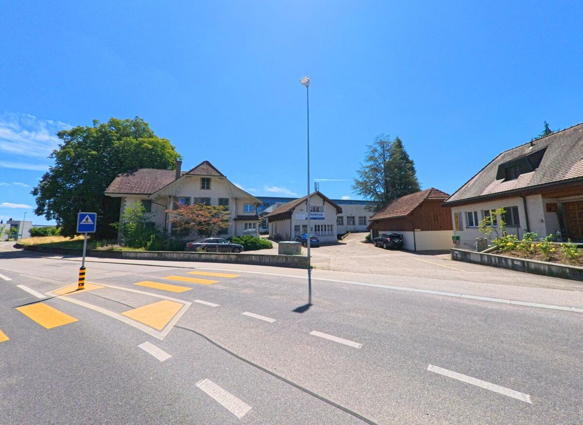 In Roggwil (4914, Kanton Bern) fuehrt eine Strasse mit Fussgaengerstreifen an Wohnhaeusern und einem grossen Baum vorbei in ein ruhiges Quartier.