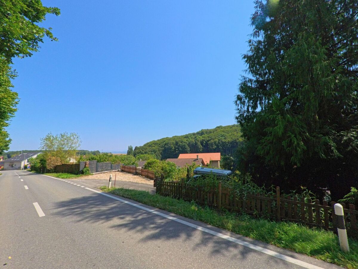 Am Rand von Romainmotier-Envy (1323, Kanton Waadt) verlaeuft eine Landstrasse mit Blick auf Hauser mit roten Daechern und den angrenzenden Waldrand.