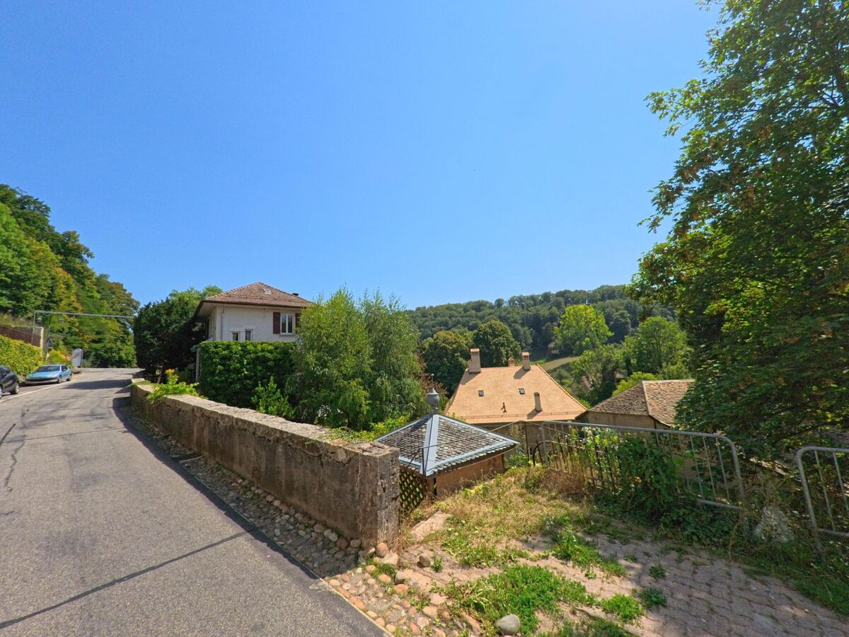 In Romainmotier-Envy (1323, Kanton Waadt) fuehrt eine schmale Strasse an Wohnhaeusern mit hellen Fassaden und roten Daechern vorbei, im Hintergrund begrenzt vom Waldrand.