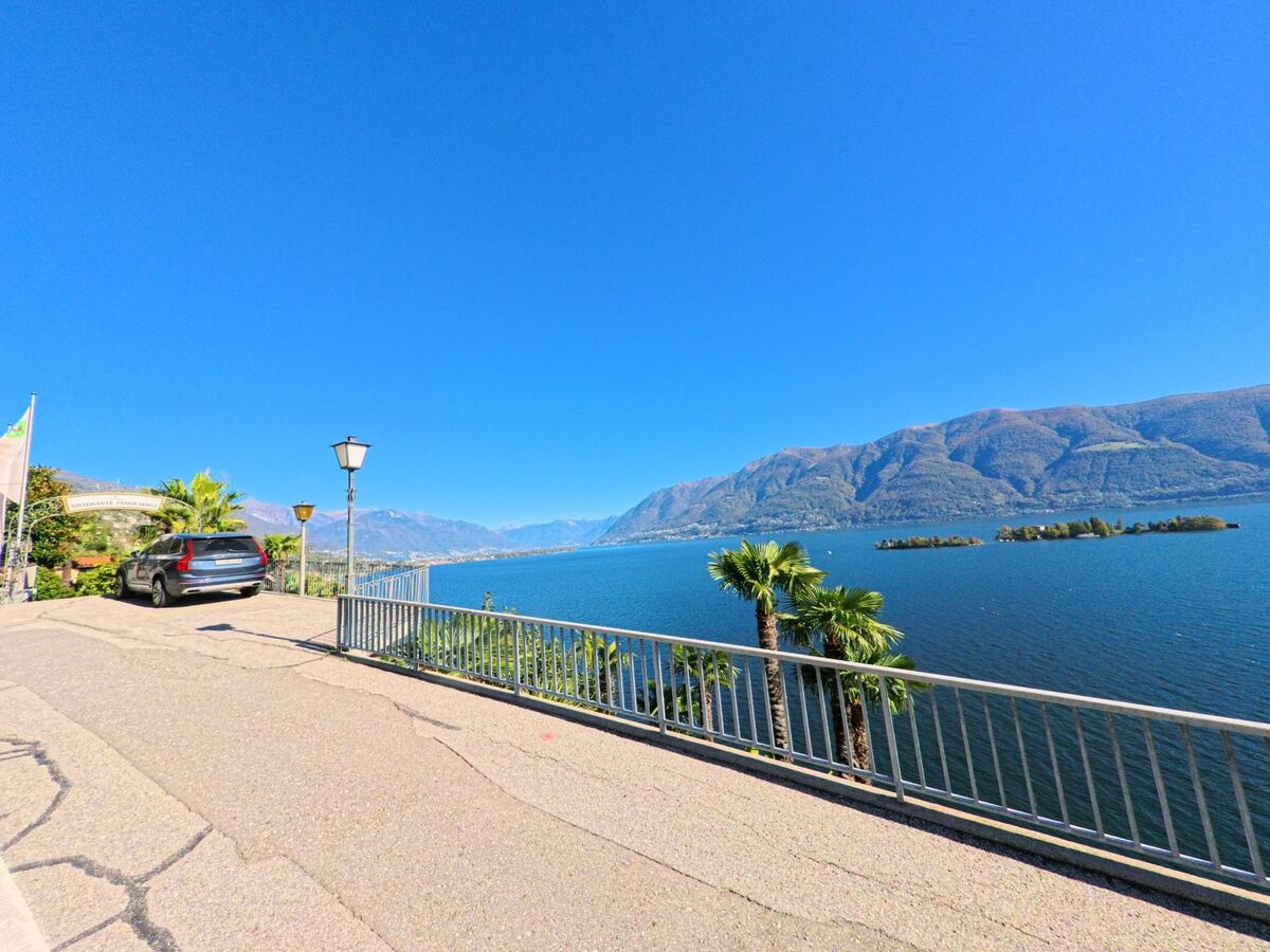 Von Ronco sopra Ascona (6613, Kanton Tessin) bietet sich eine klare Sicht über den Lago Maggiore mit Palmen, Ufergeländer und der nahen Brissago-Insel.