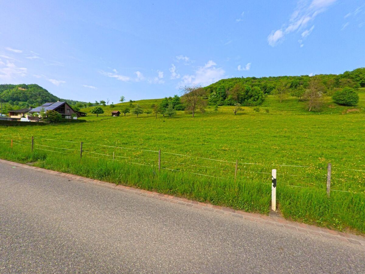  Eine weite Gruenflaeche mit vereinzelten Baeumen und einem Bauernhof praegt die offene Landschaft von Rothenfluh (4467, Kanton Baselland) entlang einer ruhig verlaufenden Landstrasse.