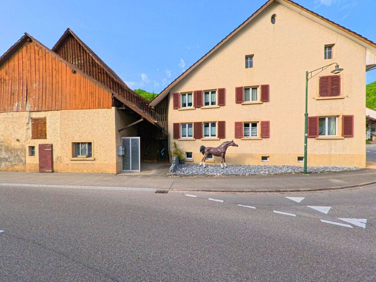 Vor einem schlichten Wohnhaus in Rothenfluh (4467, Kanton Baselland) mit roten Fensterlaeden steht eine lebensgrosse Pferdefigur auf einem mit Steinen bedeckten Vorplatz.