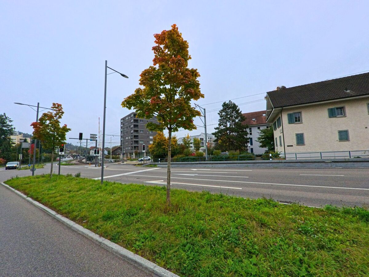 Eine breite Strasse mit junger Baumreihe führt in Rudolfstetten-Friedlisberg (8964, Kanton Aargau) zu einer Kreuzung nahe dem Bahnhof.