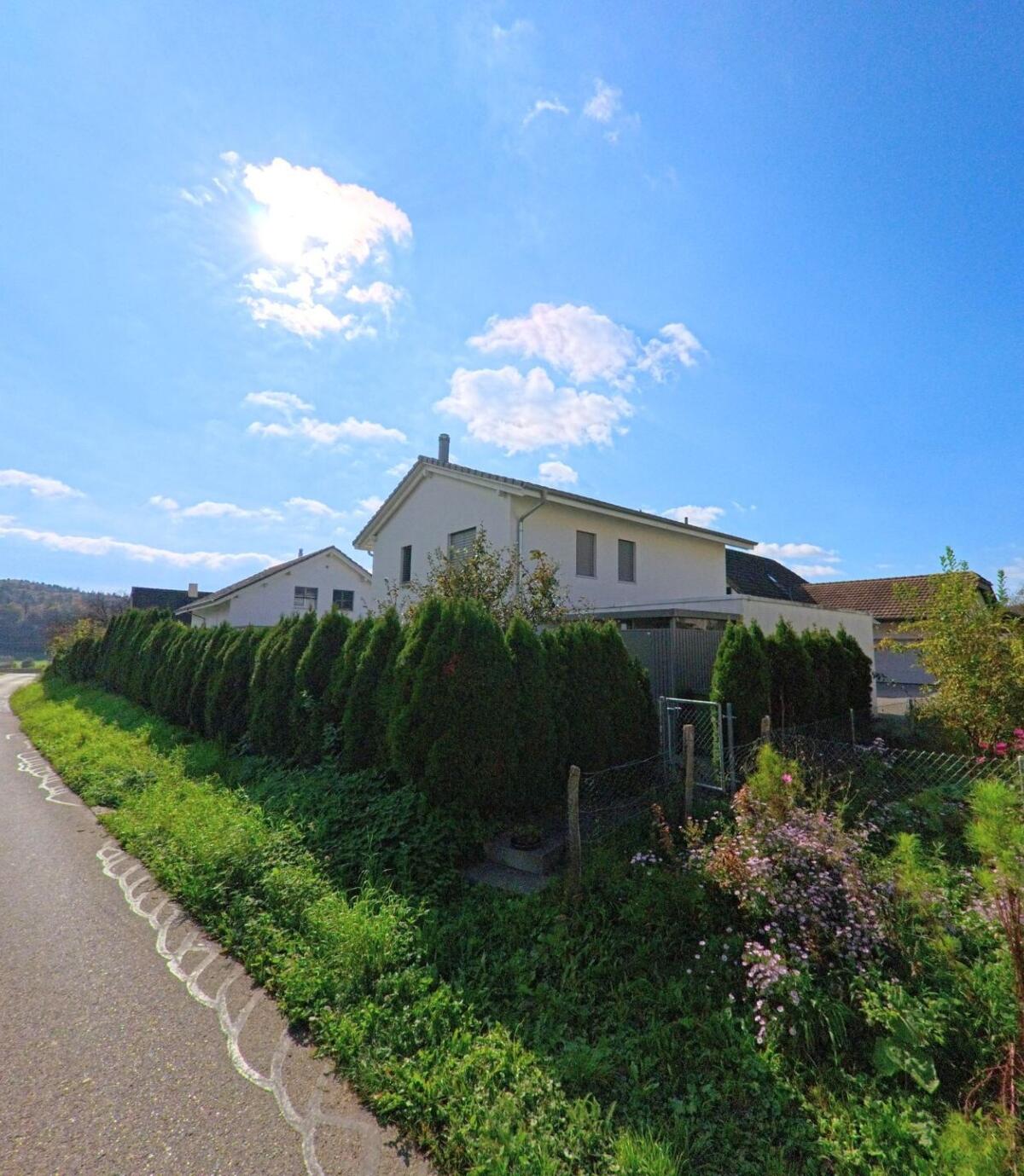 Ein modernes Einfamilienhaus in Rüfenach (5235, Kanton Aargau) liegt an einer ruhigen Strasse, hinter einer dichten Reihe grüner Lebensbäume.
