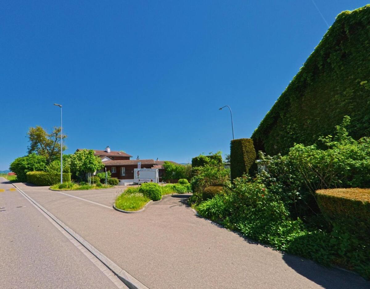 In einem Wohnquartier von Rümlang (8153, Kanton Zürich) säumen gepflegte Hecken und Ziersträucher den Strassenrand unter wolkenlosem Himmel.