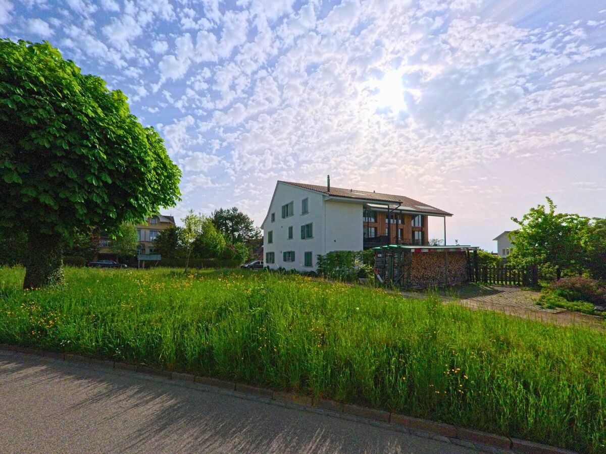 In Rünenberg (4497, Kanton Baselland) steht ein modernes Mehrfamilienhaus am Ende einer sonnigen Wohnstrasse mit hohem Gras und einem markanten Baum im Vordergrund.