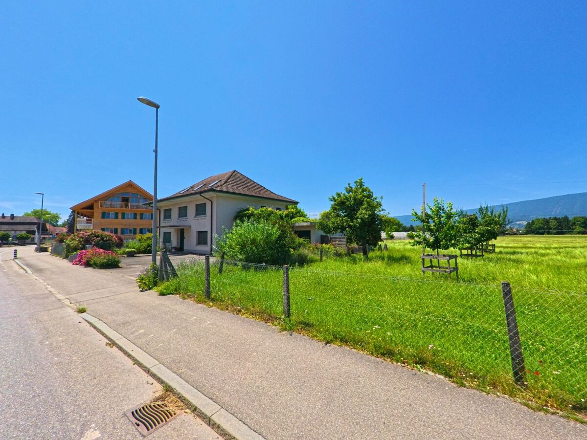 In Rüti bei Büren (3295, Kanton Bern) verläuft eine Seitenstrasse entlang gepflegter Häuser mit blühenden Vorgärten, angrenzend an weite Wiesen und Baumreihen.