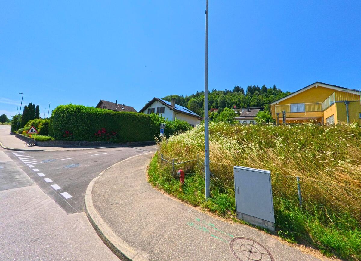 Eine ruhige Seitenstrasse in Safnern (2553, Kanton Bern) führt an gepflegten Einfamilienhäusern mit Hecken und einem gelben Wohnhaus oberhalb einer Wildblumenwiese vorbei.