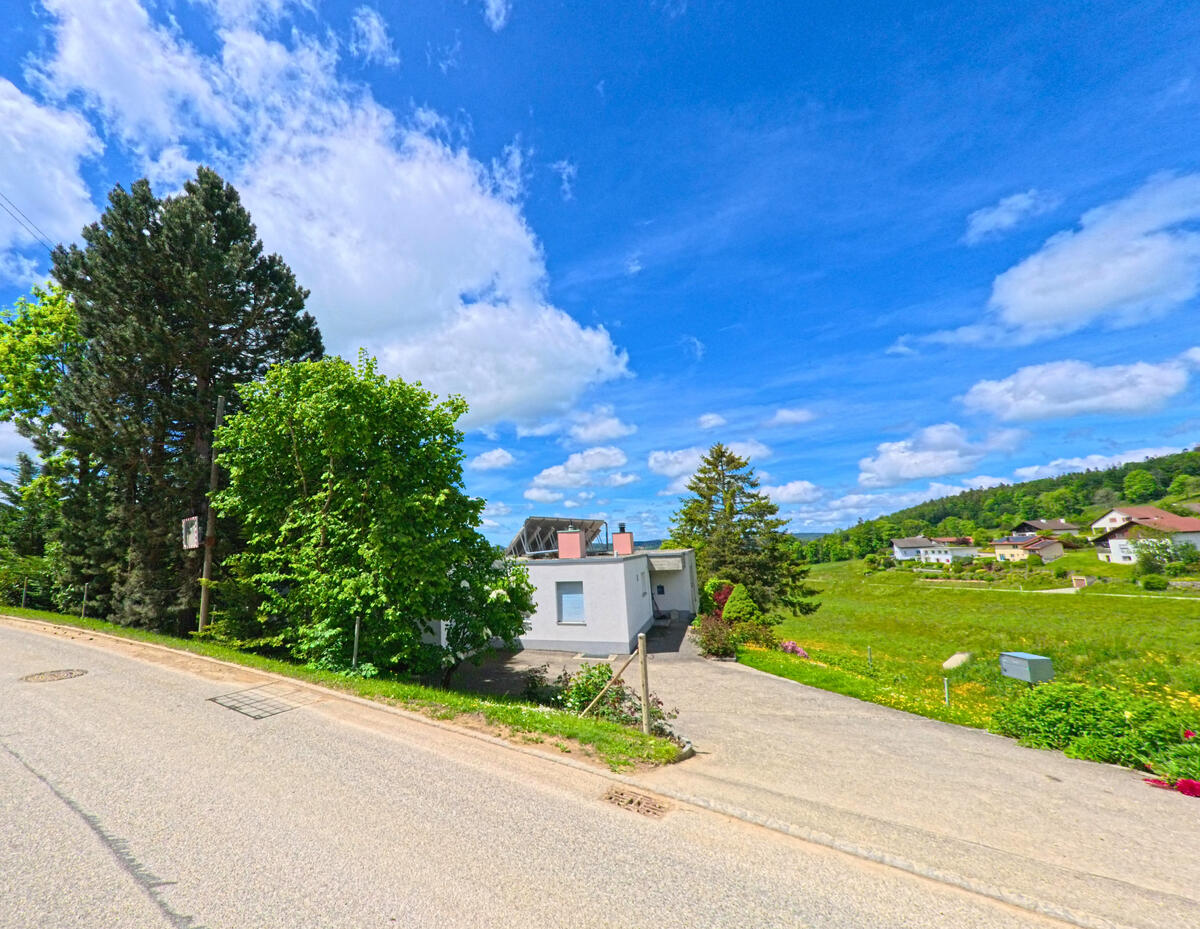 In Saignelégier (2350, Kanton Jura) führt eine Straße an grünen Wiesen und Bäumen entlang, mit einem modernen Gebäude und Häusern im Hintergrund.