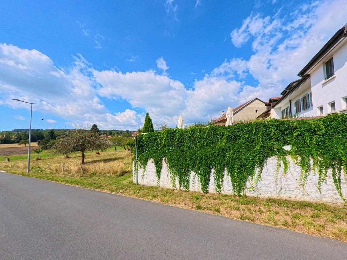 Eine begrünte Mauer mit rankendem Efeu trennt Wohnhäuser von angrenzenden Wiesen in Saint-Oyens (1187, Kanton Waadt).