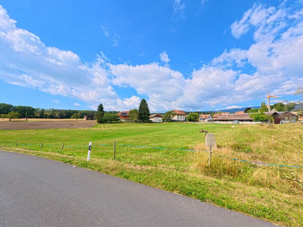 Hinter einer Wiese mit Feldrand sind in Saint-Oyens (1187, Kanton Waadt) mehrere Häuser und ein Baukran vor blauem Himmel zu sehen.