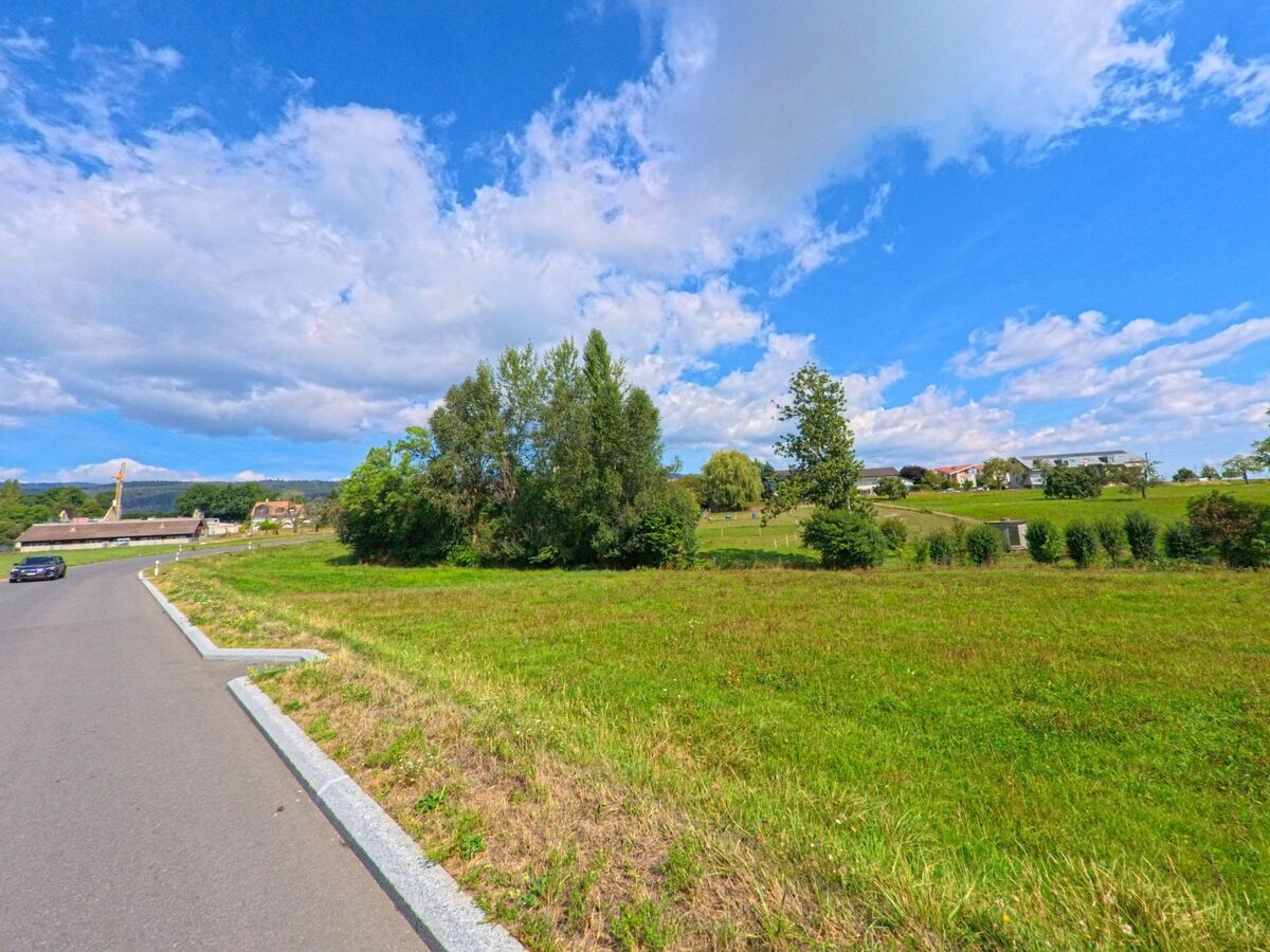 Eine Strasse führt an weiten Wiesen vorbei, während in Saint-Oyens (1187, Kanton Waadt) im Hintergrund Häuser und Bäume unter blauem Himmel sichtbar sind.