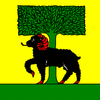 Saulcy