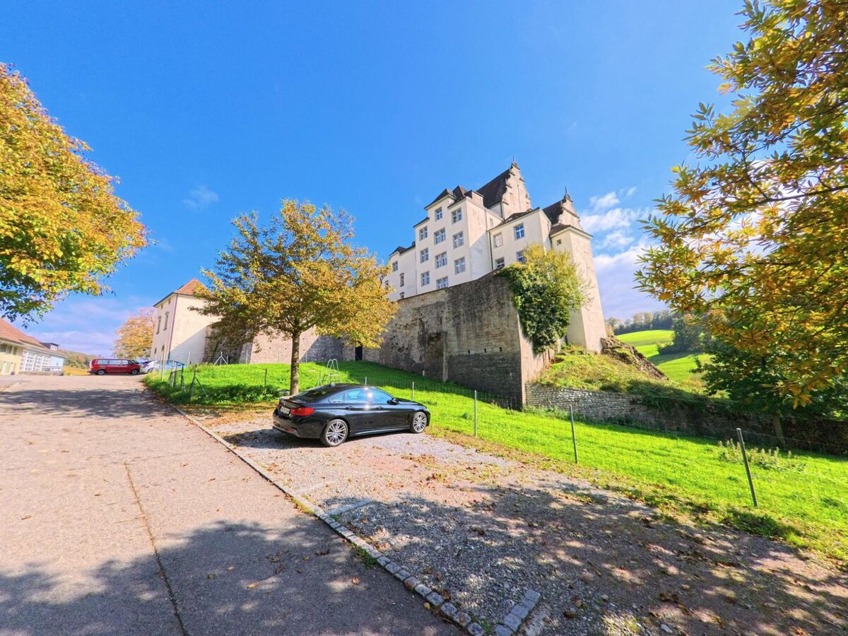 Auf einem Hügel in Schinznach (5108, Kanton Aargau) erhebt sich ein helles Schloss mit Türmen und mächtigen Mauern über grünen Wiesen und Bäumen.