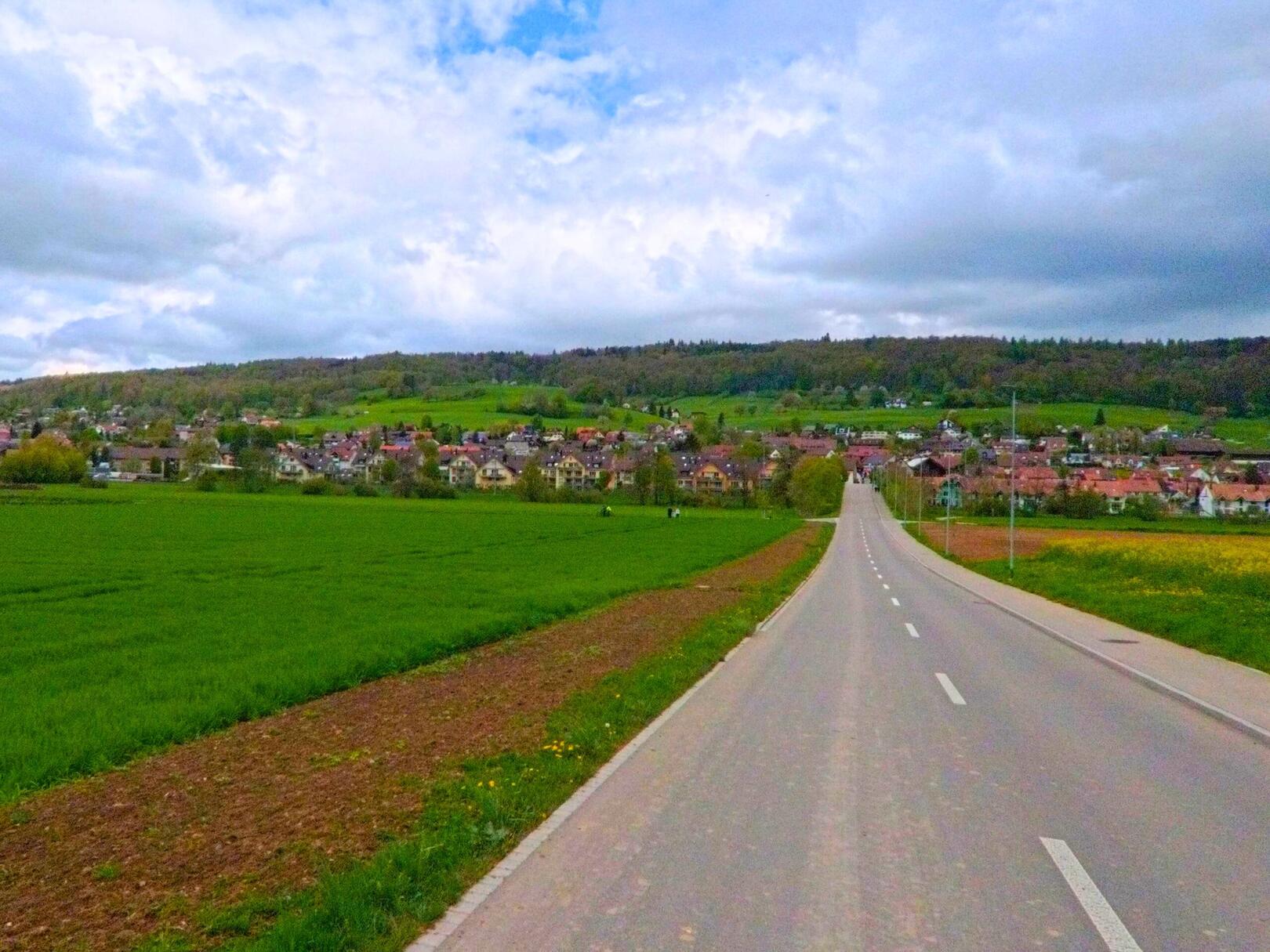 Eine lange Strasse fuehrt durch Felder auf das Dorf Schleinikon (8165, Kanton Zürich) zu, das am Fuss eines bewaldeten Huegels liegt.