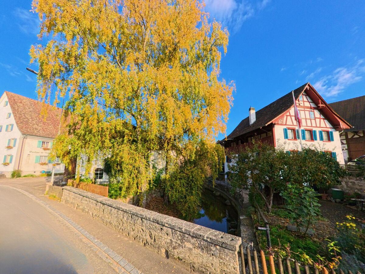 Ein schmaler Wasserlauf mit Ufermauer verläuft zwischen Bäumen und Häusern in Schleitheim (8226, Kanton Schaffhausen).
