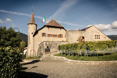 Das Schloss Boudry in Boudry (2017, Kanton Neuchâtel) steht auf einem Hügel mit Weinreben und einer gepflasterten Zufahrtsstrasse im Vordergrund.