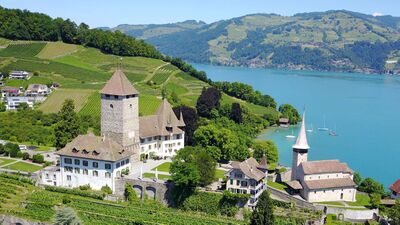 In Spiez (3700, Kanton Bern) liegt das Schloss Spiez malerisch am Thunersee, umgeben von Weinreben, Gartenanlagen und den Berner Alpen im Hintergrund.