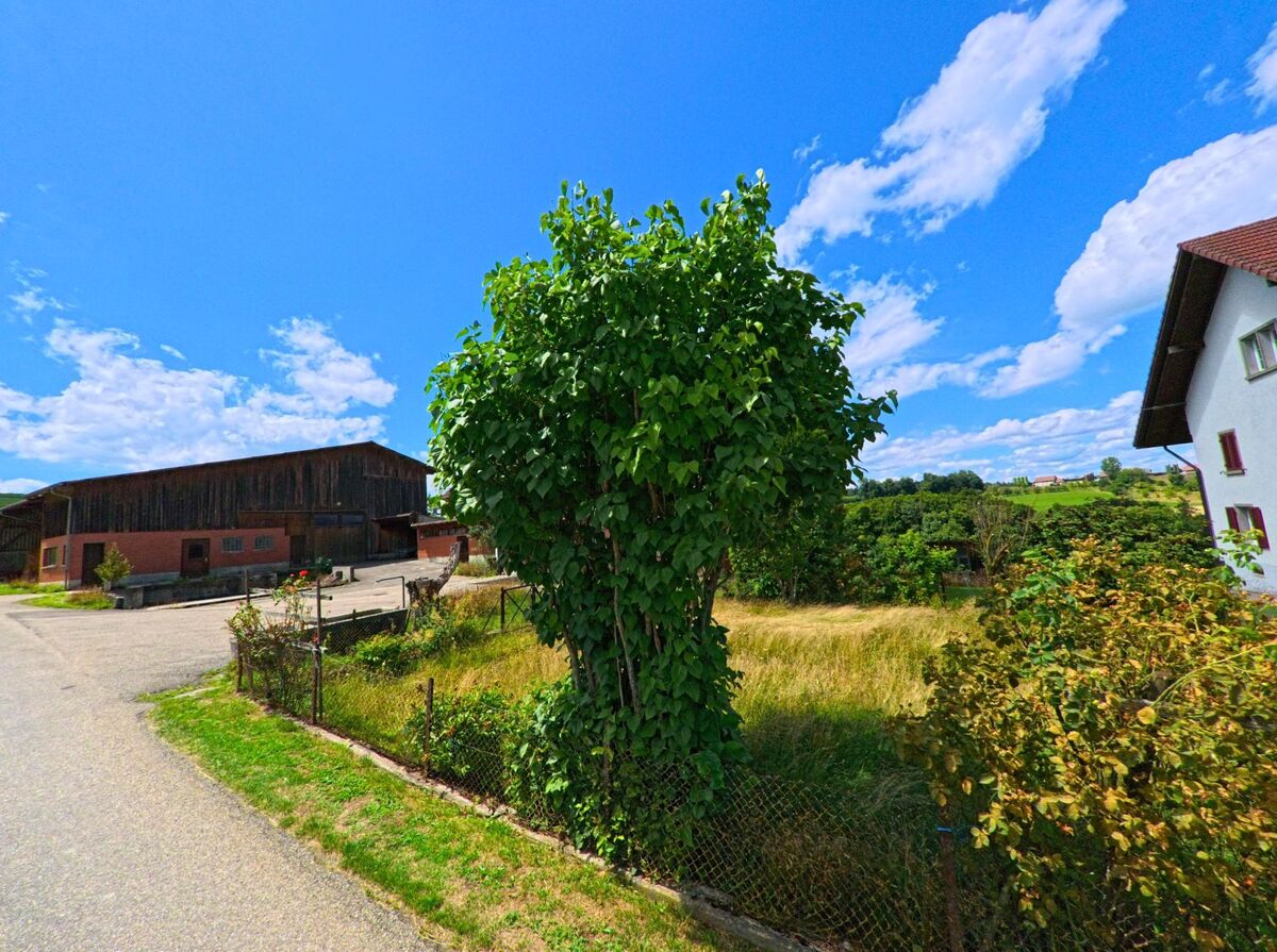 In Schmiedrued (5046, Kanton Aargau) liegt ein landwirtschaftlicher Betrieb mit grosser Holzscheune an einer ruhigen Seitenstrasse, begrenzt von einem kleinen Garten mit Buschwerk und Baum.