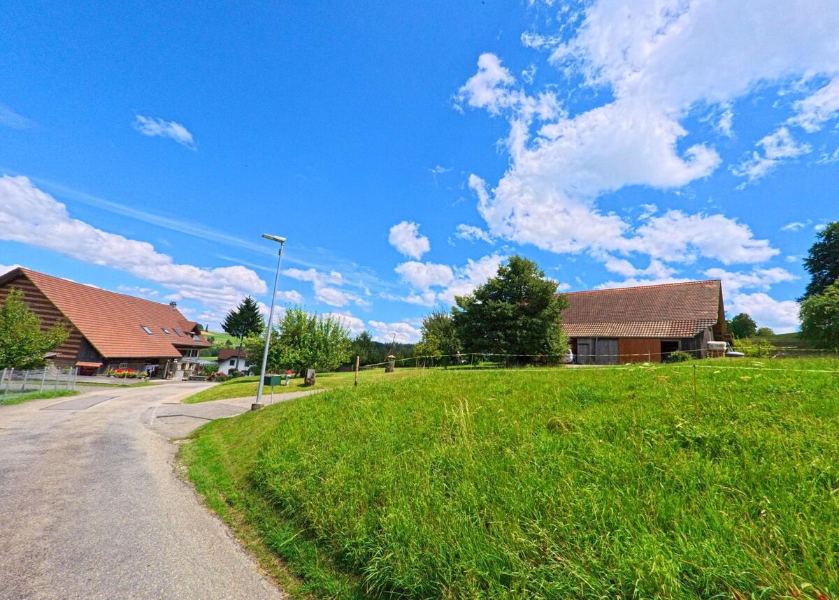 In Schmiedrued (5046, Kanton Aargau) zweigen zwei kleine Wege zwischen gepflegten Bauernhaeusern ab, flankiert von grünen Wiesen und einzelnen Baeumen.