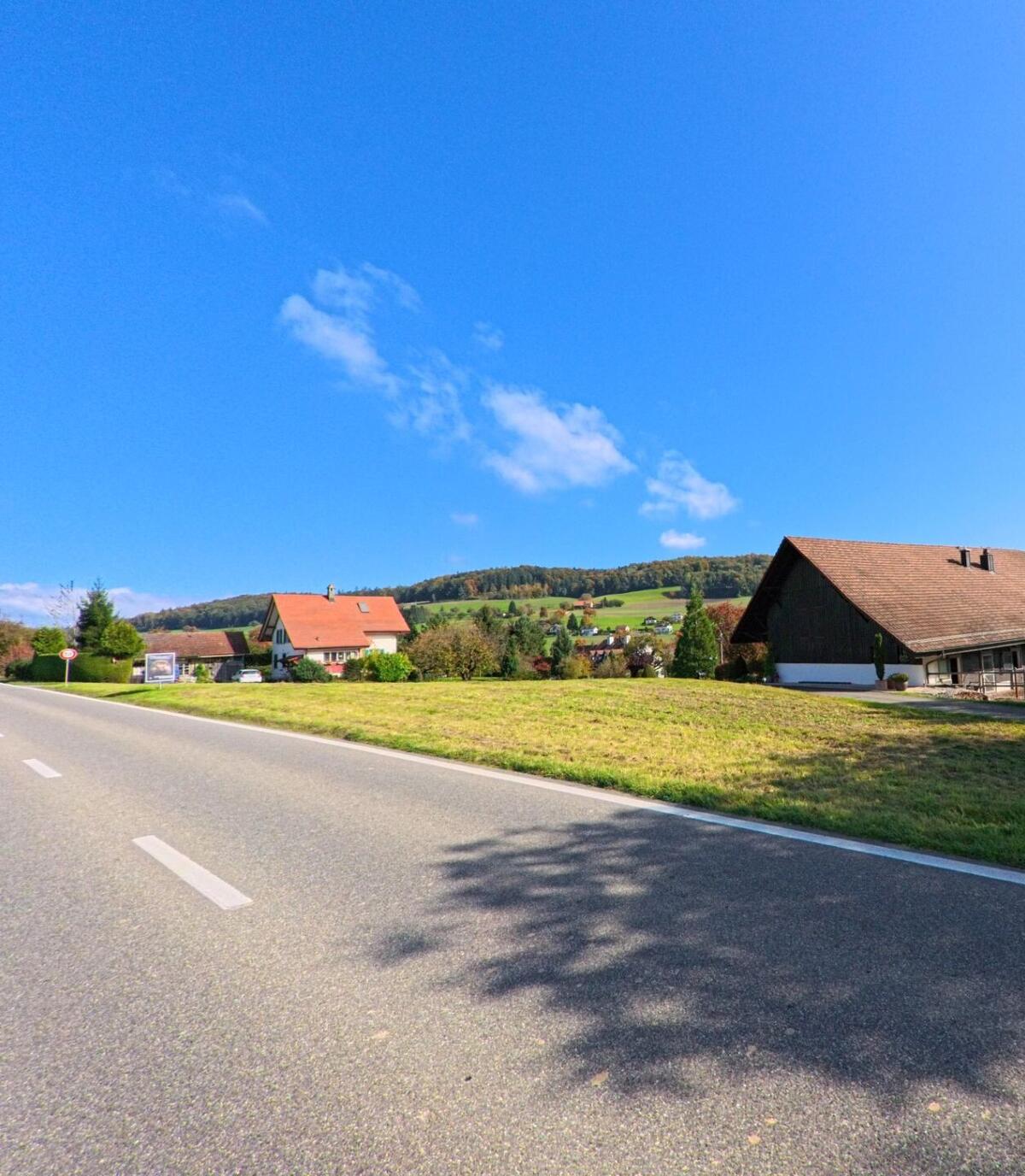 Eine ruhige Landstrasse in Schneisingen (5425, Kanton Aargau) führt an gepflegten Häusern mit roten Dächern vorbei, umgeben von grünen Wiesen und sanften Hügeln.