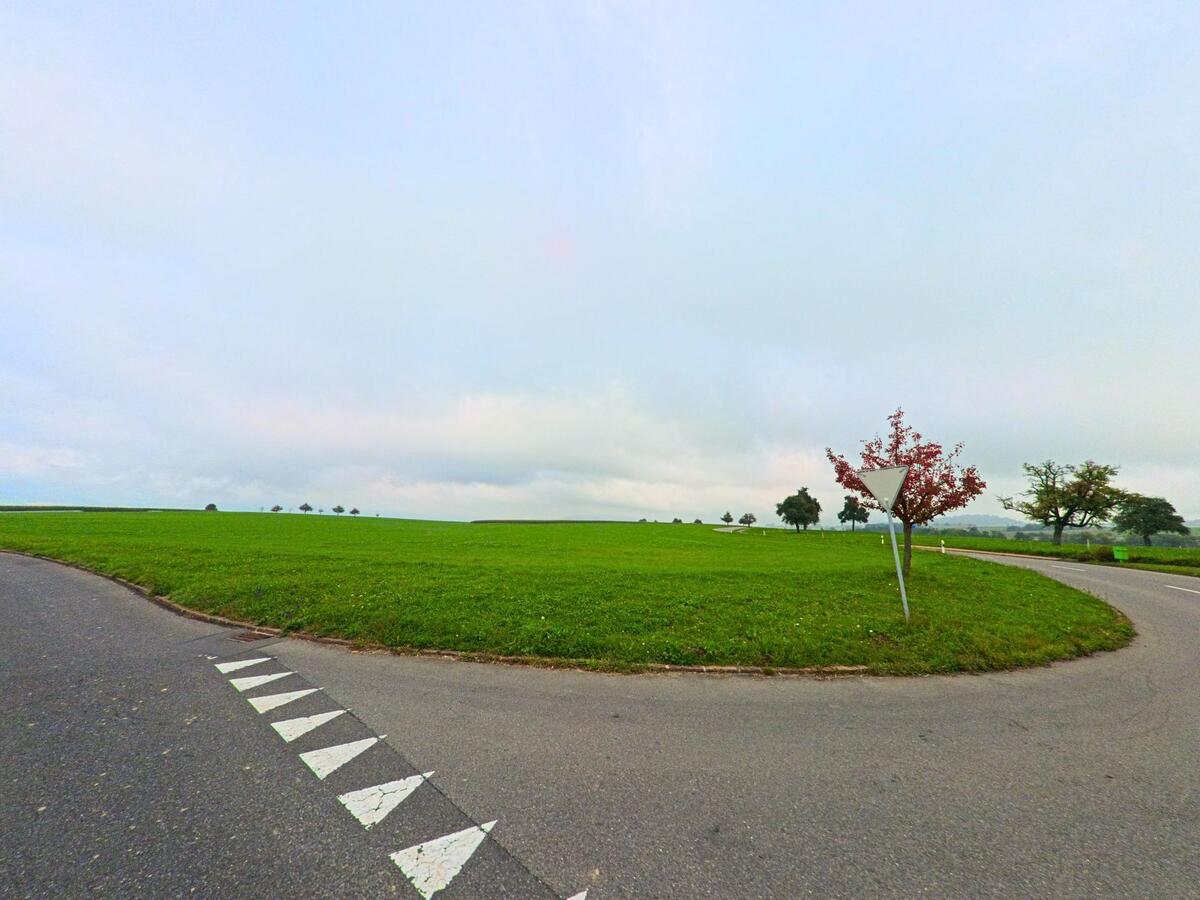 Am Ortsrand verläuft eine Strasse mit freiem Blick über Felder in Schongau (6288, Kanton Luzern).