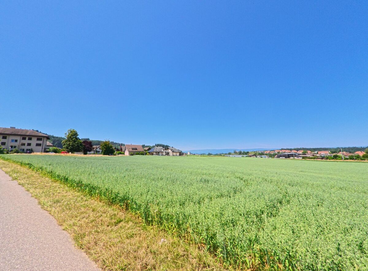 Der Blick auf das grüne Feld in Schüpfen (3054, Kanton Bern) zeigt die weite, ruhige Landschaft mit einem Panorama von Häusern im Hintergrund.