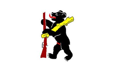 Das Vereinslogo zeigt in Herisau (9100, Kanton Appenzell Ausserrhoden) einen stilisierten Baeren mit Gewehr und Fahne in heraldischer Darstellung.