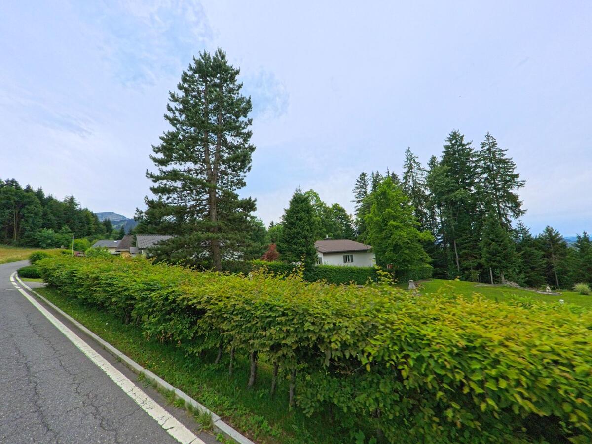In Schwarzenberg (6013, Kanton Luzern) verläuft eine schmale Strasse an einem gepflegten Grundstück mit Hecke, Bäumen und einem Wohnhaus am Waldrand vorbei.