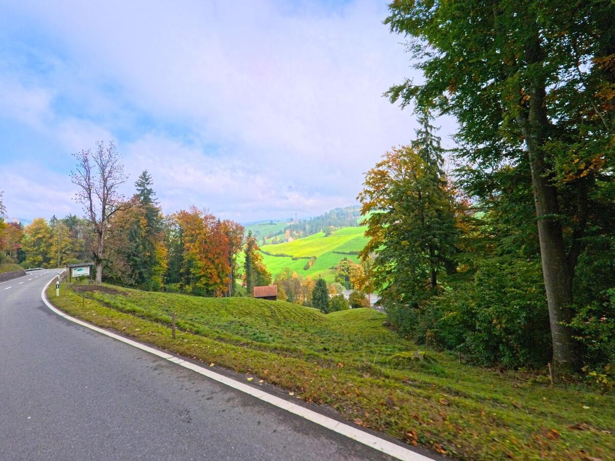 Eine ruhige Strasse führt durch herbstlich gefärbte Bäume nahe Schwellbrunn (9103, Kanton Appenzell Ausserrhoden) mit Blick ins Hügelland.