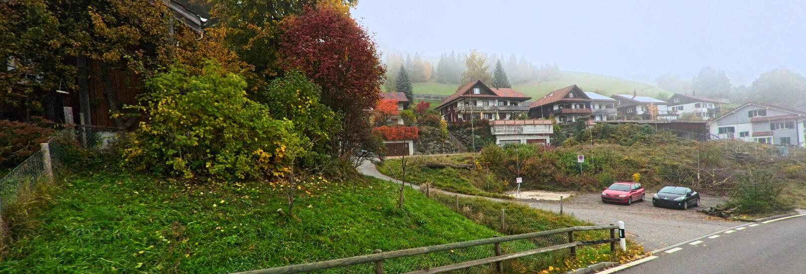 In Schwellbrunn (9103, Kanton Appenzell Ausserrhoden) erstreckt sich eine malerische Szene mit bunten Herbstbäumen und Häusern am Berghang, umhüllt von leichtem Nebel.