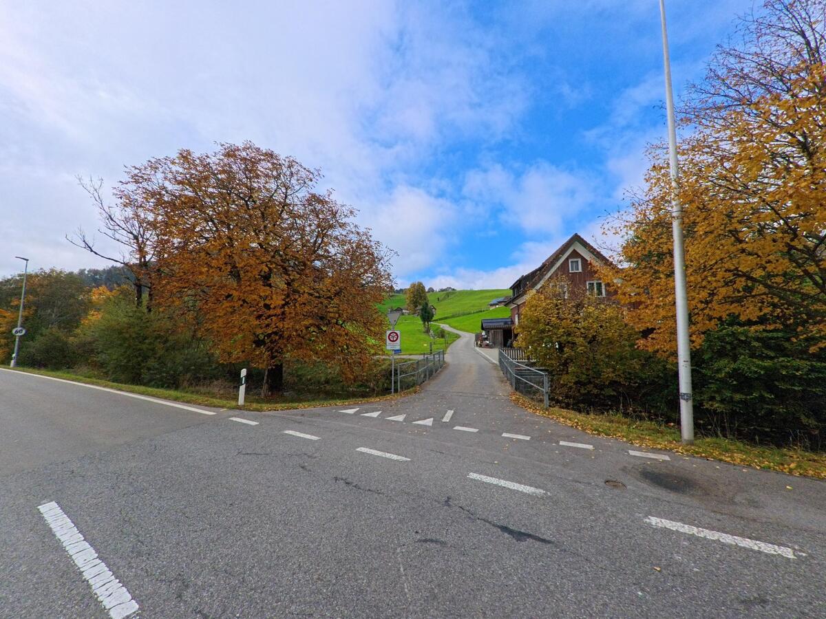 An einer Strassenabzweigung in Schwende (9057, Kanton Appenzell Innerrhoden) führt eine schmale Nebenstrasse zwischen herbstlich gefärbten Bäumen und einem Wohnhaus hinauf zu grünen Hängen.