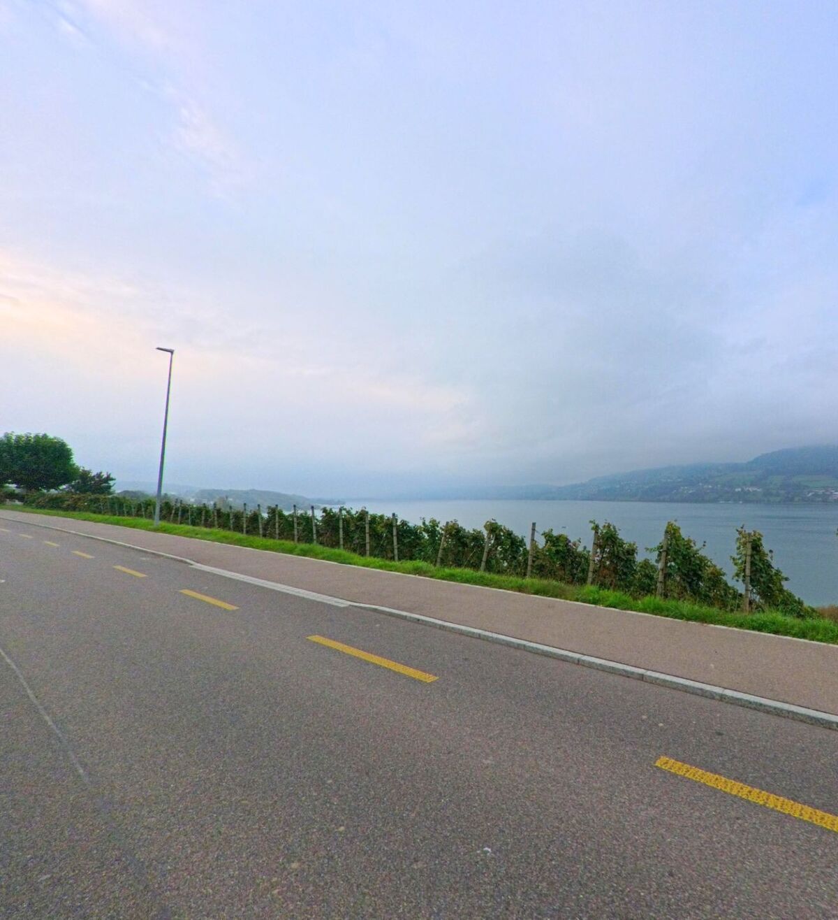 Entlang der Strasse in Seengen (5707, Kanton Aargau) verlaeuft ein Rad- und Fussweg mit Blick auf den Hallwilersee und die sanften Huegel am gegenueberliegenden Ufer.