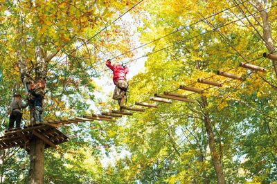 Im Seilpark von Balmberg (4524, Kanton Solothurn) balancieren Kinder auf einer Hängebrücke zwischen den Bäumen unter herbstlich gefärbtem Laub.