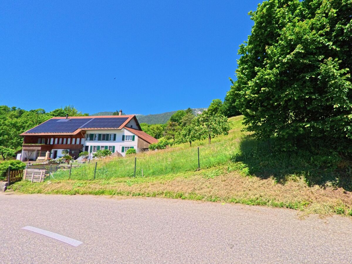 Am Hang von Selzach (2545, Kanton Solothurn) steht ein Wohnhaus mit Solarpanelen, umgeben von Wiesen, Obstbäumen und dichter Vegetation.