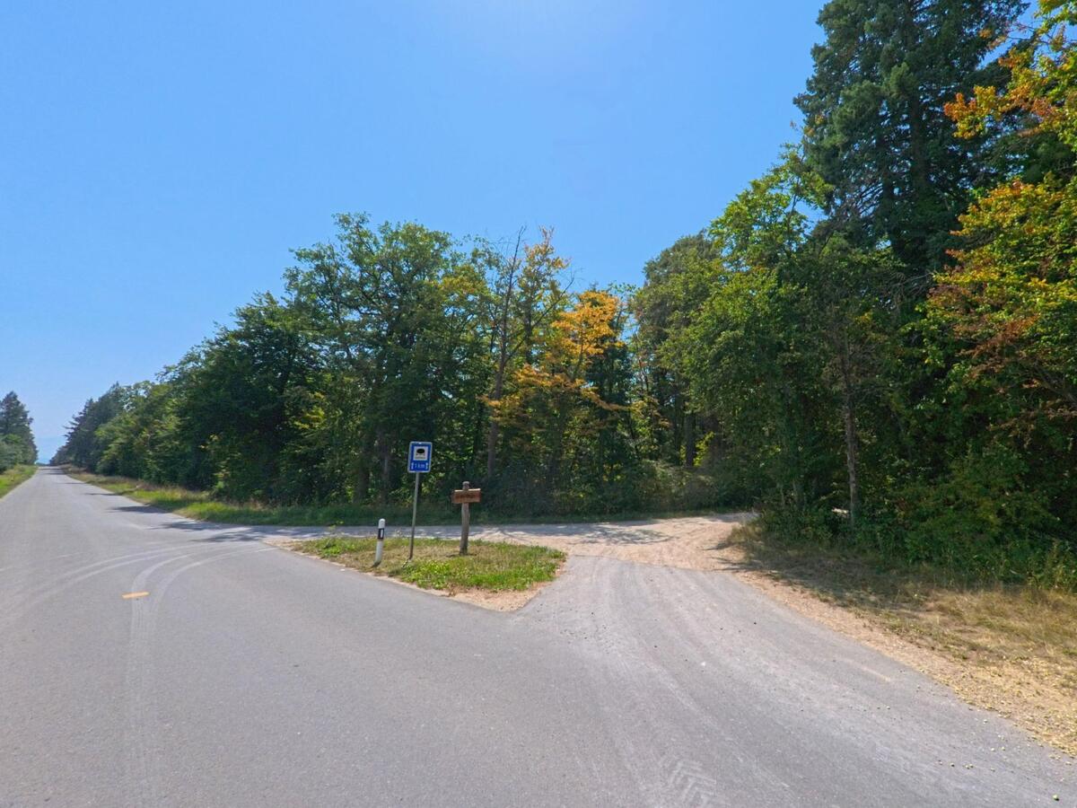 Eine Bushaltestelle am Waldrand von Sergey (1355, Kanton Waadt) liegt an einer Landstrasse mit Abzweigung in den Wald.