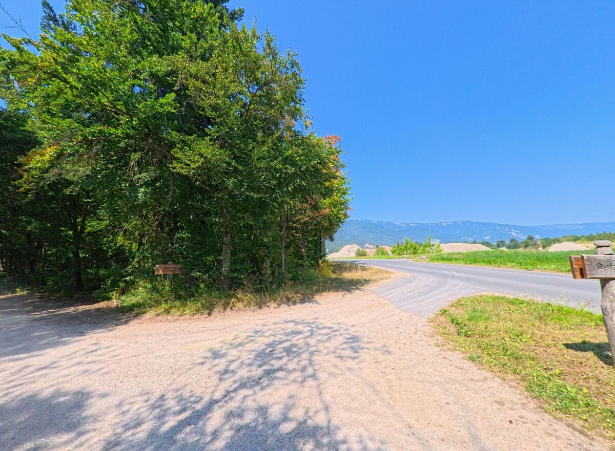 Ein Feldweg zweigt in Sergey (1355, Kanton Waadt) vom Waldrand ab und fuehrt zur Landstrasse mit Blick auf die Huegel.